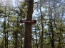 Devious, Bear Swamp, Two Sawmills