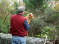 Picture_262_1_