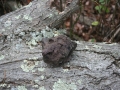 Picture_263_1_