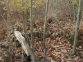 Picture_265_1_