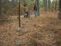 Picture_267_1_
