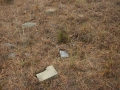 Picture_269_1_