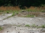 Markers, Graves,Bulltown