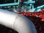 Speedwell Cranberry Harvest