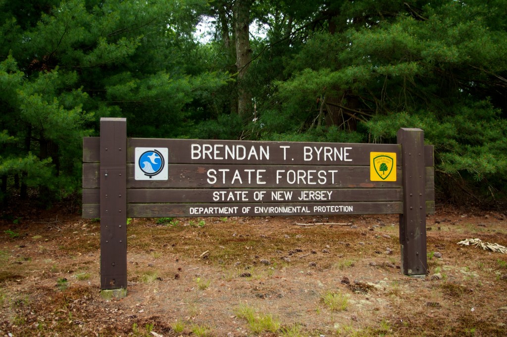 Brendan Byrne State Forest A Quick Guide
