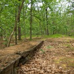 Lebanon Glassworks Ruins