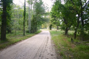 A view of Quaker Bridge Road looking towards Atsion. Photo by the author.