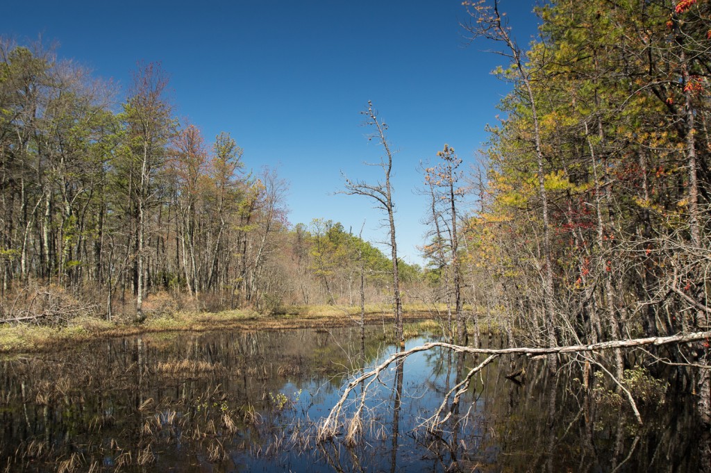 The end of the canal.