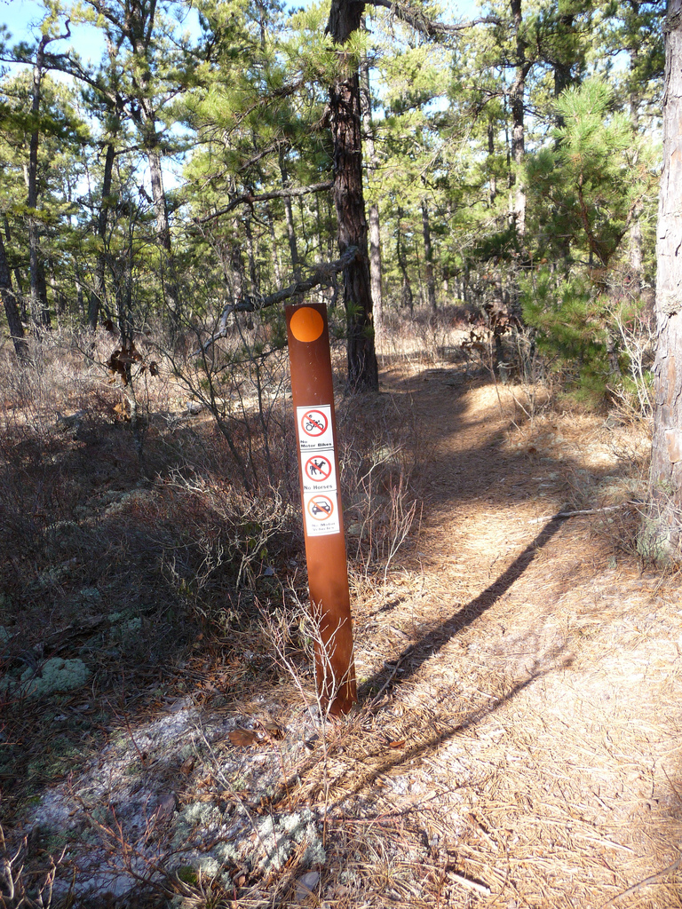 The Penn Branch Trail